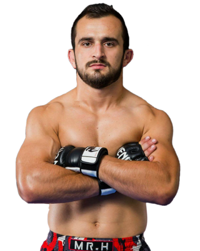 DZEVAD MUFTIC