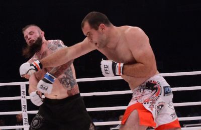 RUBEN The Viking WOLF photo gallery